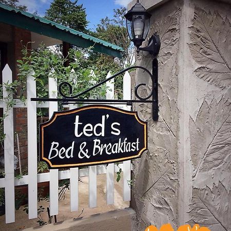 Ted'S Bed And Breakfast Santa Cruz  Exterior foto