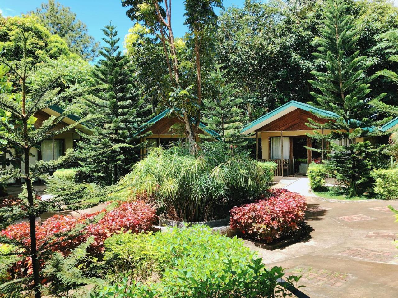 Ted'S Bed And Breakfast LAGUNA Exterior foto